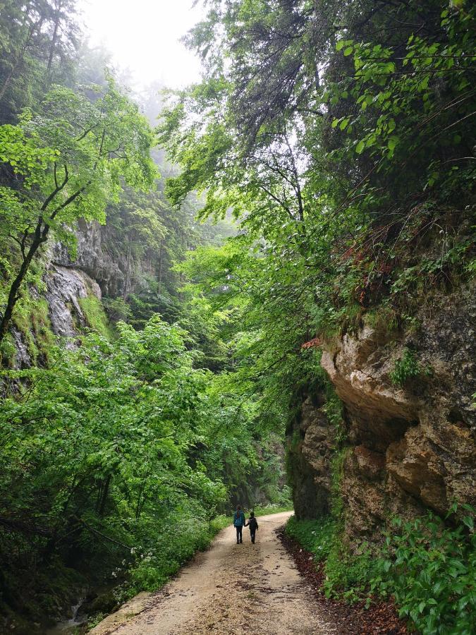 Mountain Lodge Risnov Bagian luar foto