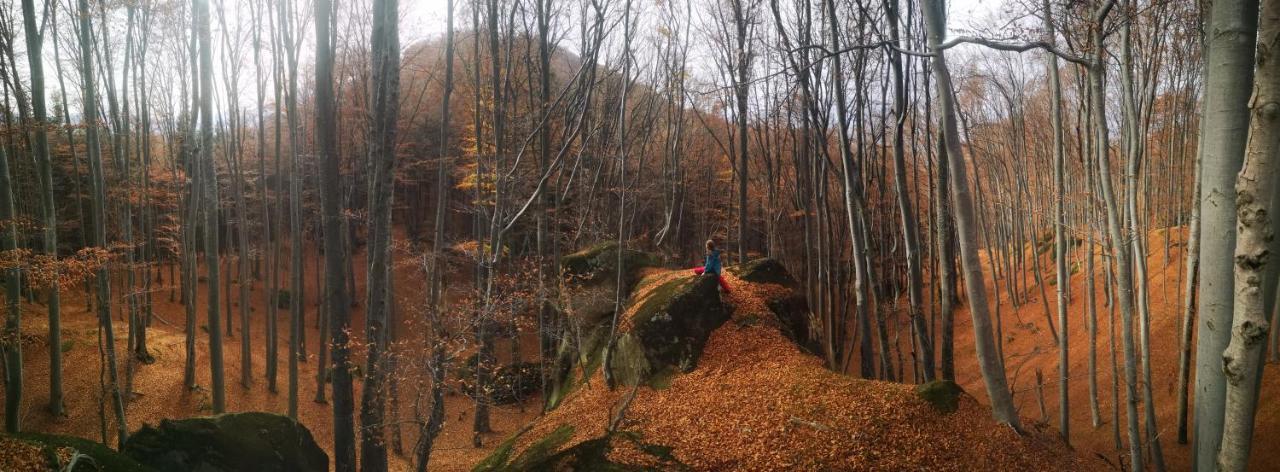 Mountain Lodge Risnov Bagian luar foto