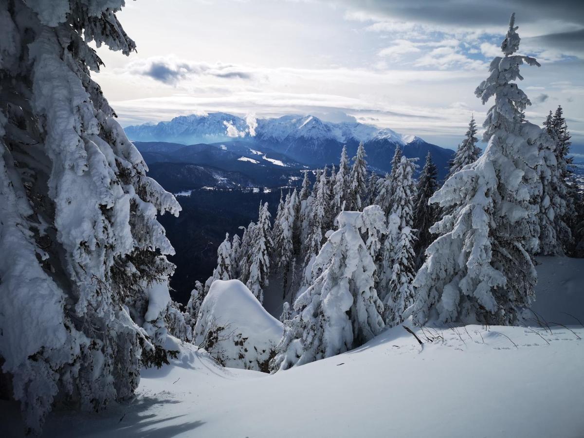 Mountain Lodge Risnov Bagian luar foto